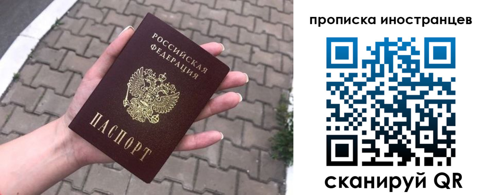регистрация для школы в Владимирской области